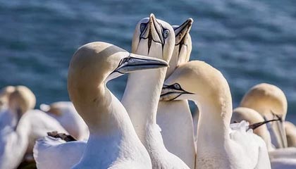 爱游戏全站app注册-“足球智者”：某某教练解读战术变革心得，足球技战术训练全书