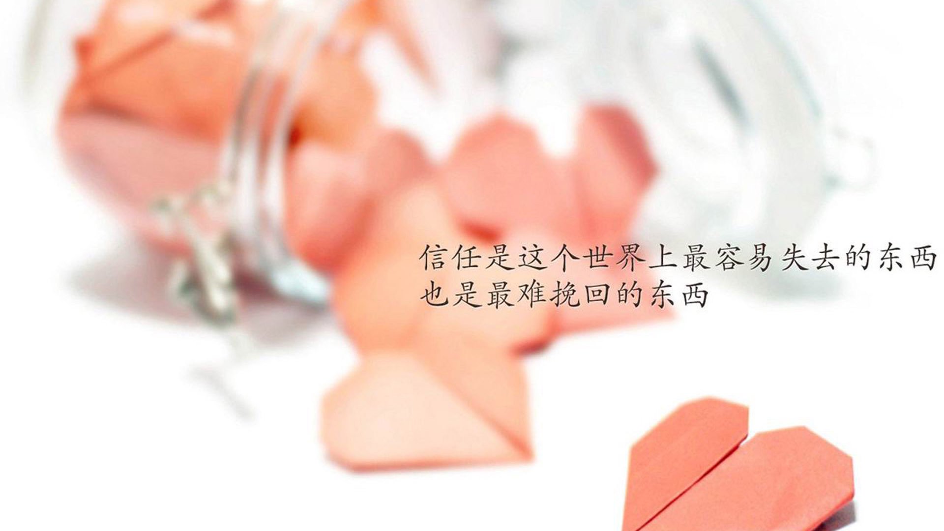 传统武艺光影秀：文化之美在运动中绽放