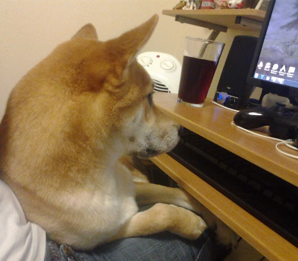 库里连续三分球命中:刷新联盟纪录的背后故事!,库里三分球大赛命中率