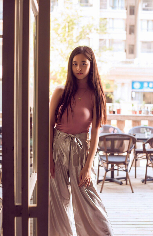 瑞士马术协会与国际马术联合会合作，举办国际马术交流活动，促进技术交流。