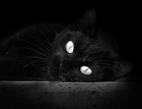 逆转“奇迹之夜”:那些震撼全球的足球传奇时刻,奇迹足球俱乐部