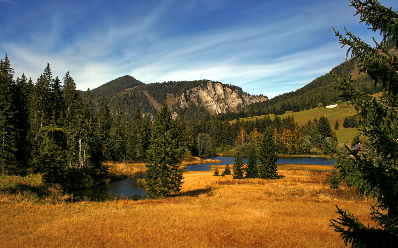 马刺与法国足协共建运动康复实验室，马刺 法国