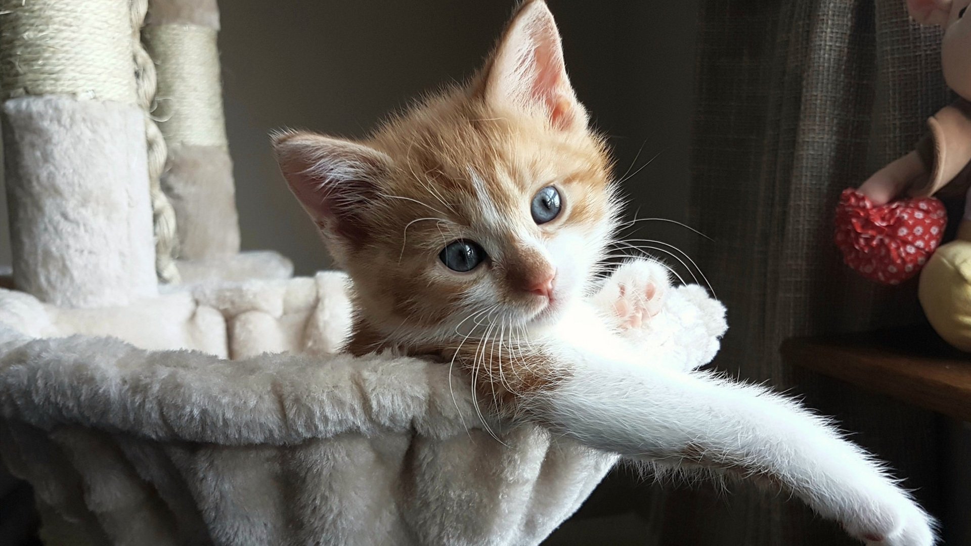 RNG训练营全力备战，rng训练营报名