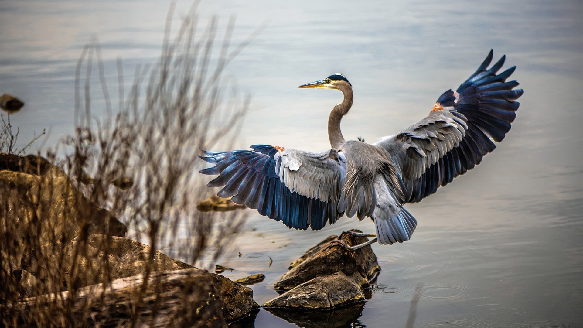 电竞城市成为电竞职业选手的摇篮，电竞成为主流