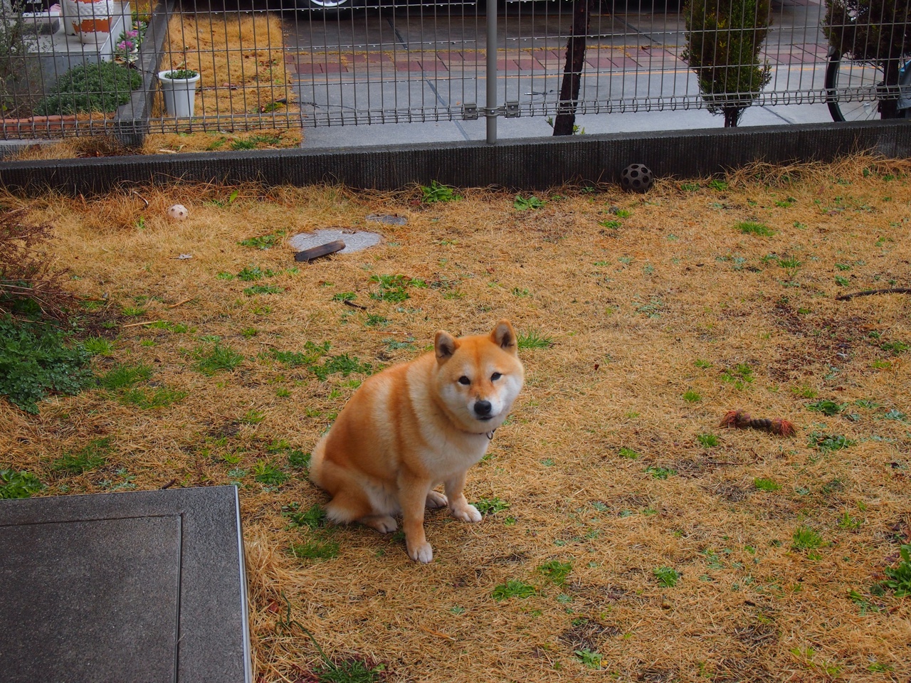 詹姆斯压哨得手湖人险胜,詹姆斯压哨奇才