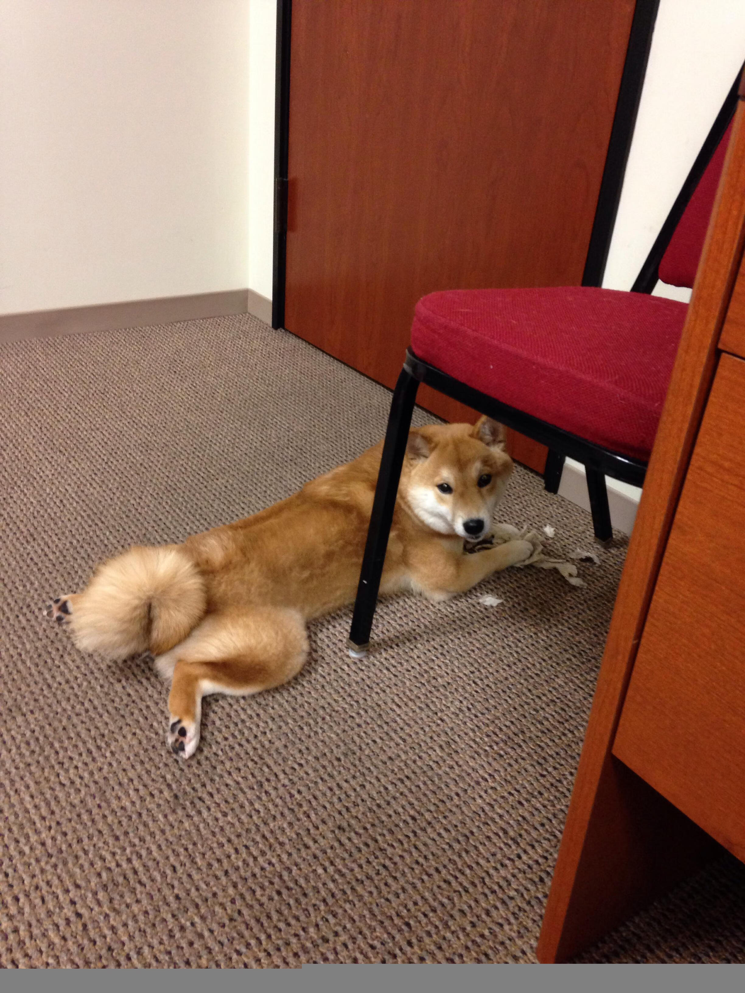 马德里德比上演激烈对抗，双方互交白卷，马德里德比视频直播