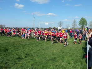 青少年体育锻炼行为促进措施研究，《青少年体育活动促进计划》