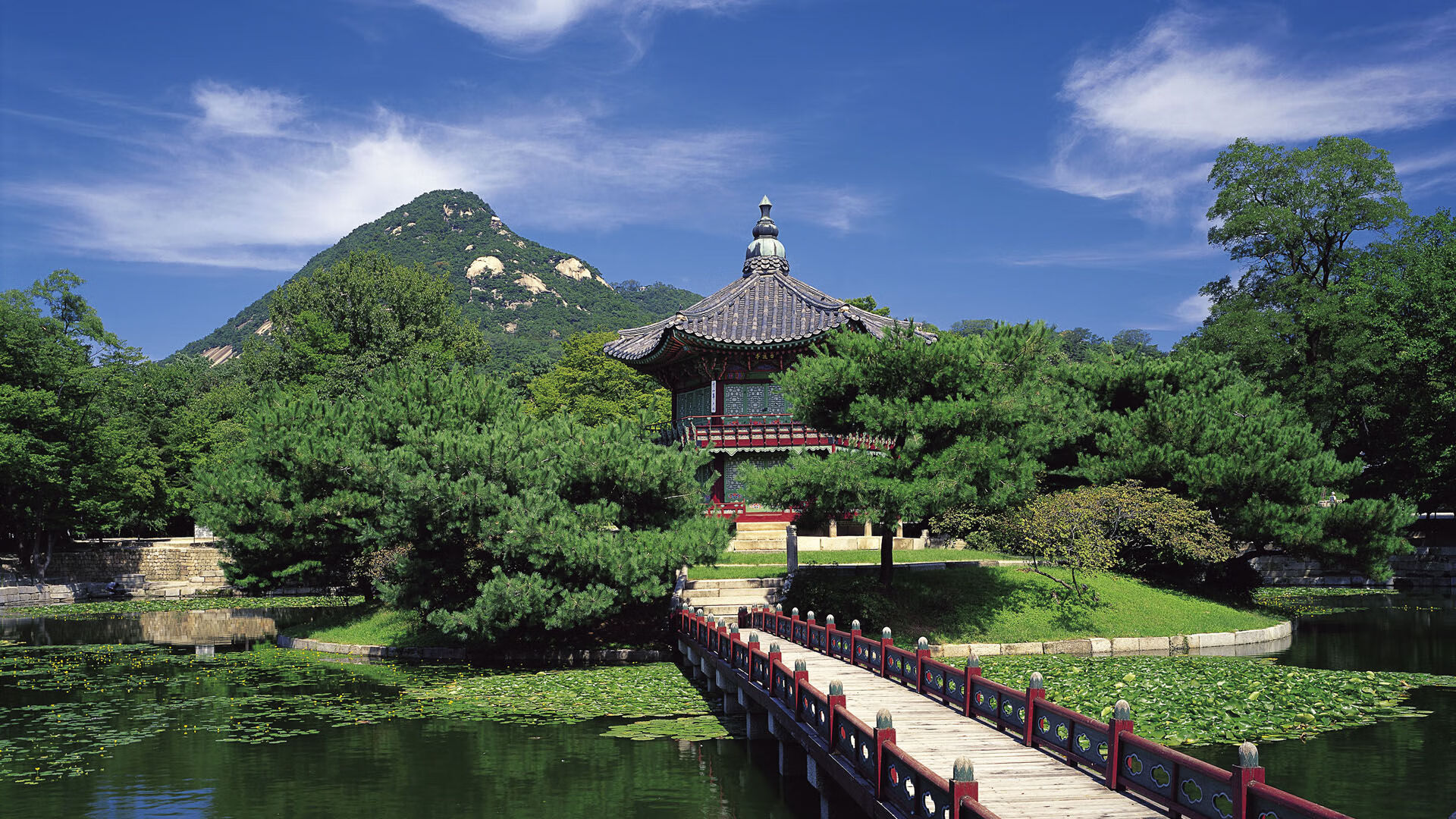 “四川省体育馆拳击赛事：谁能在拳击擂台上打破极限，迎接金牌荣耀？”