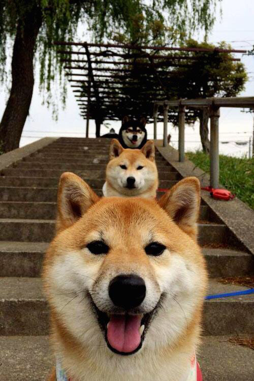 中超俱乐部引进新援增强实力,中超俱乐部外援有限制吗