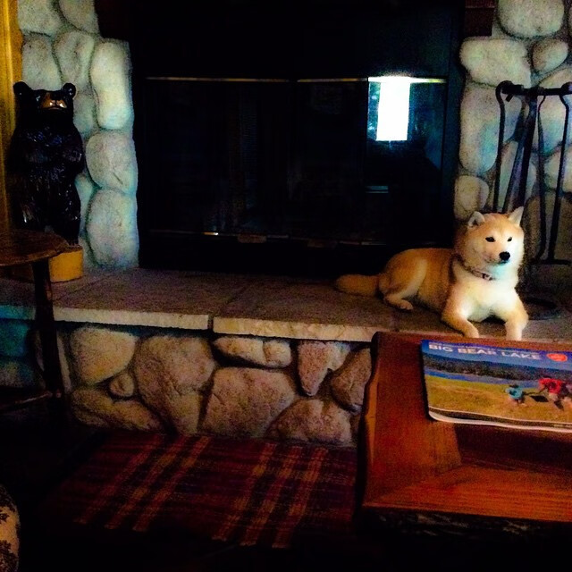 奥运备战科学制定目标计划,奥运备战科学制定目标计划表