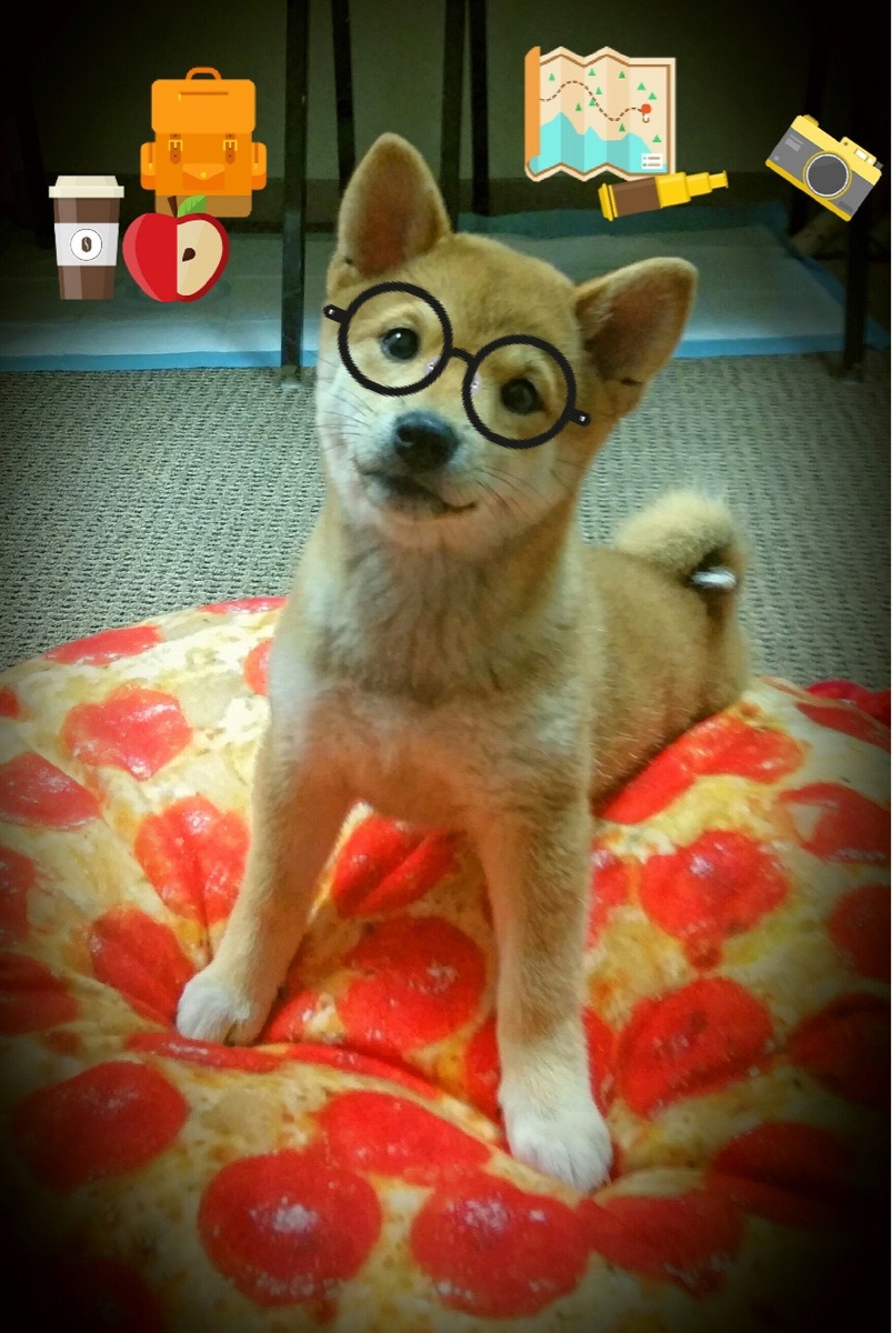 锋线配合默契程度能否通过数据建模反映，锋线搭档