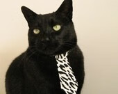 青少年搏击联赛引导安全对抗理念深入人心，青少年搏击比赛规则