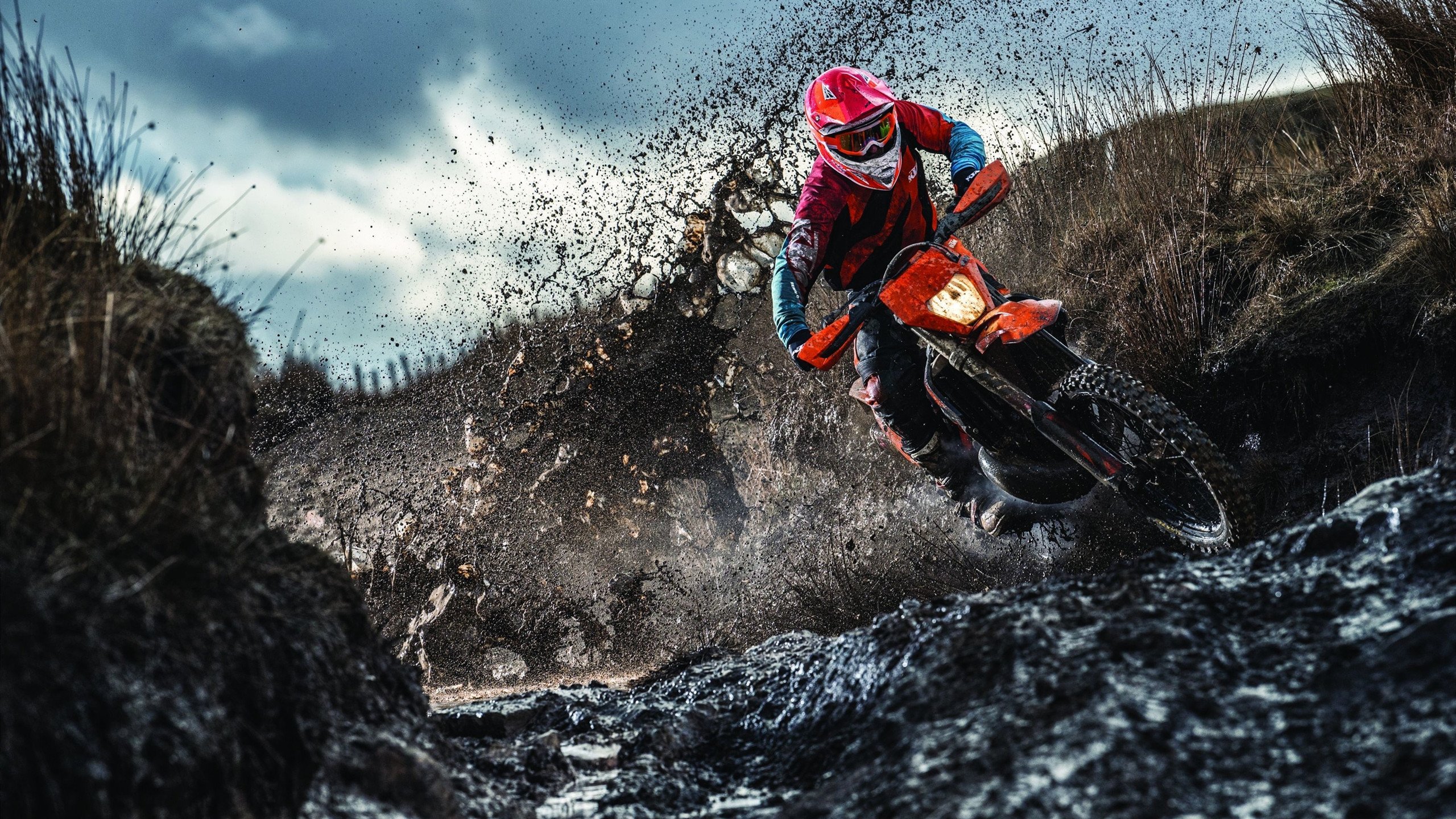 “超级粉丝”榜单：谁是真正的现场王者？，超级粉丝团集结